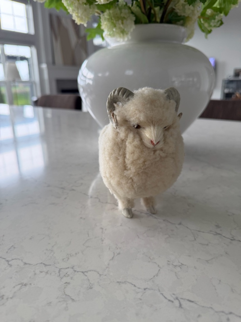 Wooly Ram